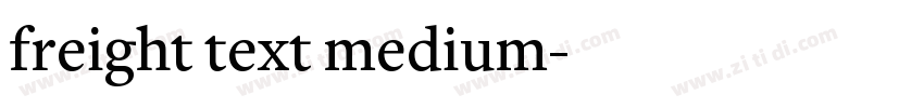 freight text medium字体转换 freight text medium字体转换